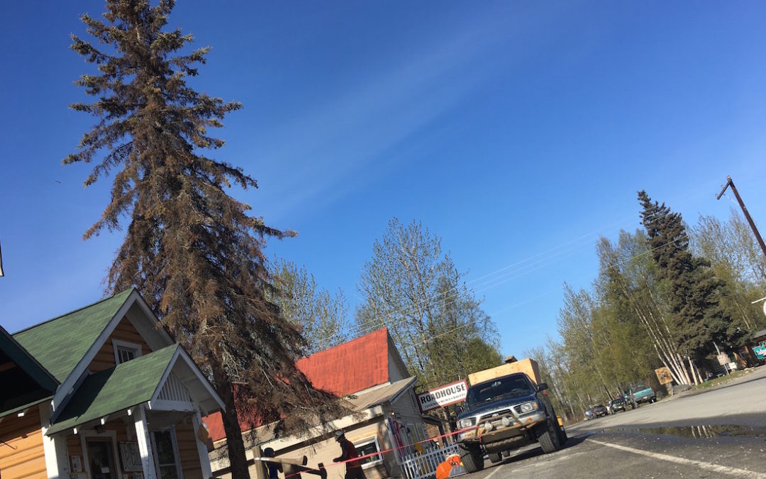 Talkeetna & Roadhouse Events for the Week May 13 – 19, 2019